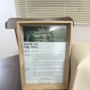 퐁낭아래 | [제주] 퐁낭아래1978 신상 숙소