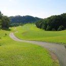 스타골프 이미지