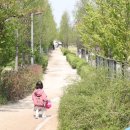 마포, 걷고싶은길 10코스 이미지