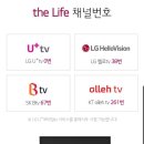 🖥 방송전 the Life 채널번호 확인하세요. 이미지