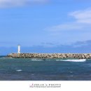 고래정원 이미지