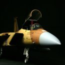 [하세가와] 1/48 F-15C Aggressor Eagle 이미지