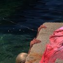 지구에서 너뿐 이미지