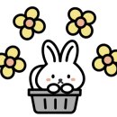 다인얼큰샤브칼국수