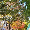 아마따 | [일상] 아마따 블챌 써야지