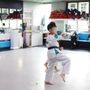 한미태권도 이미지