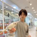 리프패럿 롯데마트 광복점 | 부산앵무새분양 말하는앵무새 리프패럿 롯데마트광복점 아이랑 후기