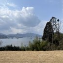 미가 건축사사무소 이미지