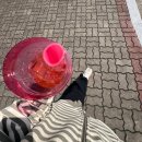 (주)알라딘브이엠 | [4/13~4/19] 낮🌞에는 따사로운🥵🥵 머리🦰푸는🤯 인간 🤖❌여자💃🏻