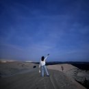 해돋이농장 | 베트남 나트랑 무이네 사막투어(선라이즈)마이리얼트립 내돈내산. 비행기 시간부터 마지막까지