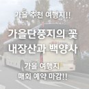 (주)에이스여행사