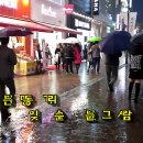 비내리는 명동거리 /배호 이미지