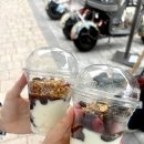 보니또슈 | 자두찌와의 경주 데이트 🍒🐻‍❄️ (上)
