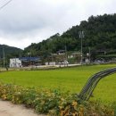 하판(지동) 이미지