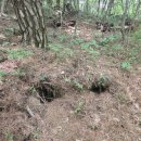 내장산국립공원화장실(생태공원) | 전북 정읍 내장산국립공원 월영습지 여행