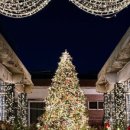 카페 마루리 이미지