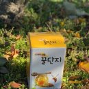 더지리산 Daum카페