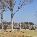 갯골생태공원 이미지