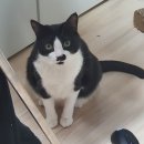 뭘봐PC방 이미지