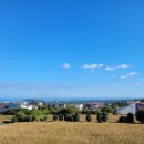 제주도 가족 펜션 오드리하우스 이미지