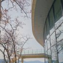 스테이인터뷰 노호 이미지