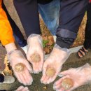 삶디자인 교육 협동조합 이미지