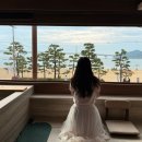 파라스테이 이미지