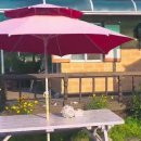 초보생활영어 이미지