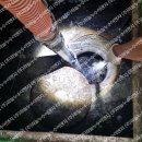 남악로 162번길 이미지