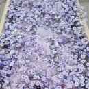 주안영안실 이미지