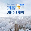 12월26일-1월3일 8박9일 새해를 설계하는 신년 일출 제주 여행 이미지