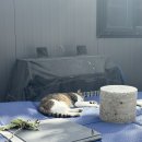 냇가에앉아서 | 청계산맛집 계곡 뷰 닭백숙 도토리묵 해물파전 청계냇가집 후기