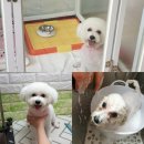 간석3동-16 네이버블로그