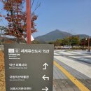 조경나라익산 | 익산미륵사지석탑 우연히 마주친 백제유적 역사지구 여행