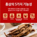 고려홍삼원 | 고려 6년근 홍삼정 골드 사용 후기!