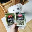 올리브 도시락 | 동원 양반 조미김 파래김 올리브김 도시락김 간단후기