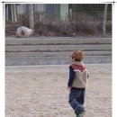 산이랑 강이랑 이미지