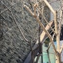 청담 헤어샵