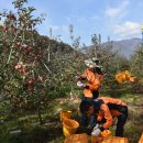 문경소방서 이미지