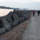 진동면사무소 이미지