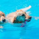 아임버디 이미지