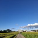 문막체육공원길 이미지