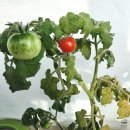 홍익테크 | 25년 10월 4주-10월 5주 격주간 일기| 카페투어·문화생활 기록