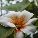 토산초등학교 이미지