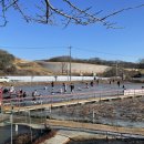 꽃뫼카페휴게소 이미지