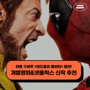 안나피아노 교습소 | 7월 4주차 극장개봉영화 넷플릭스 신작 추천 - 데드풀과 울버린 외 5편
