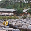 청자축산 이미지