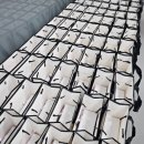 가고파초등학교 이미지