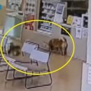 원유치원 이미지