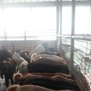 이천제이농장 이미지